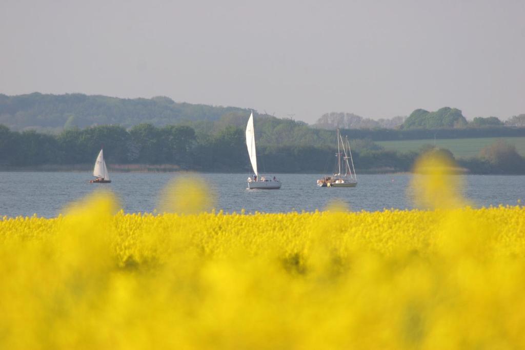 Hotel An Der Schlei Garni Fahrdorf  Exteriör bild